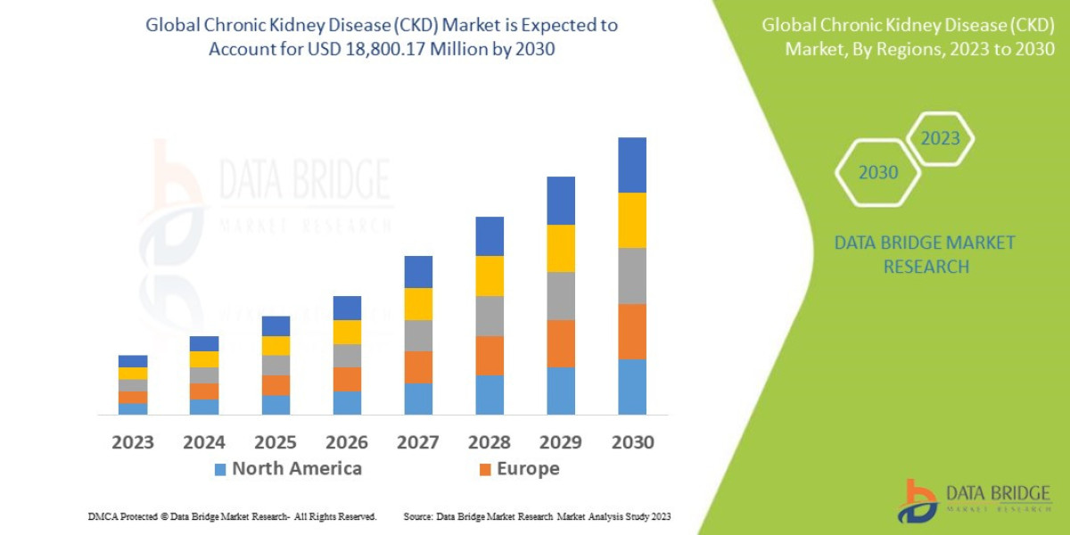 Chronic Kidney Disease (CKD) Market Expands with Advancements in Dialysis & Drug Development