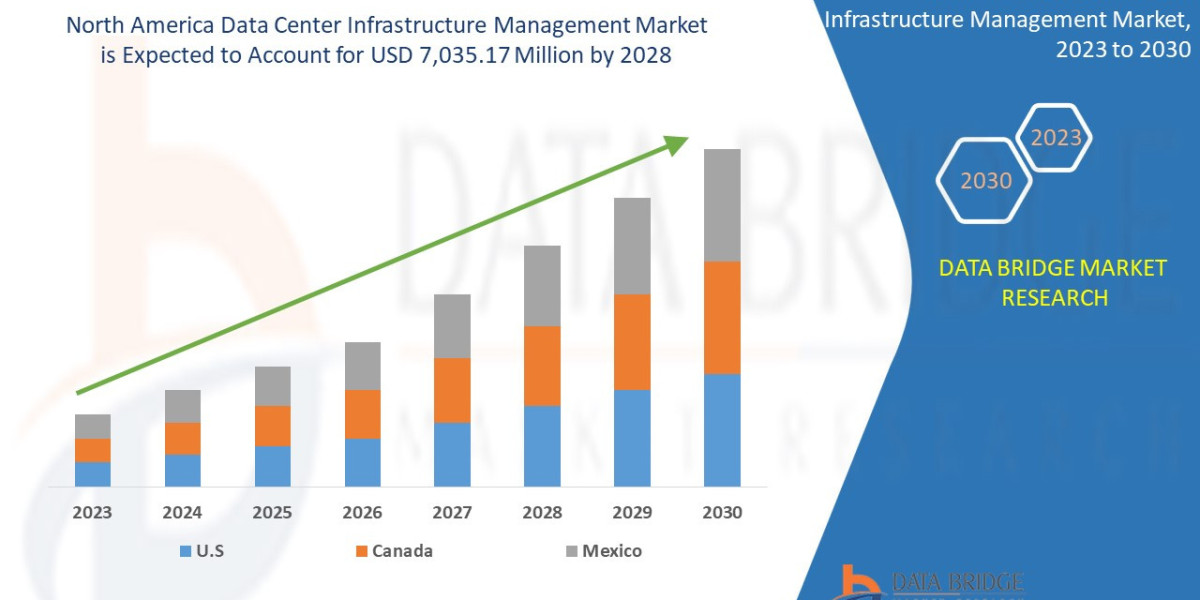 North America Data Center Infrastructure Management Market Booms Amid Cloud Expansion
