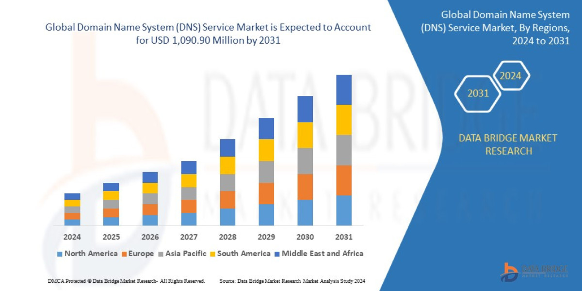 Domain Name System (DNS) Service Market Sees Surge in Cloud & Cybersecurity Solutions